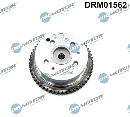 LIZARTE DRM01562