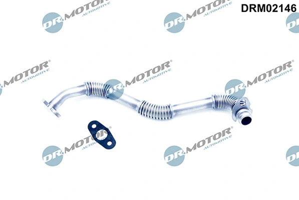 LIZARTE DRM02146