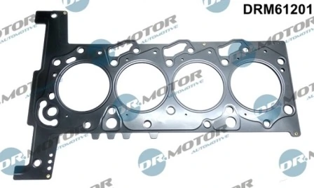 LIZARTE DRM61201