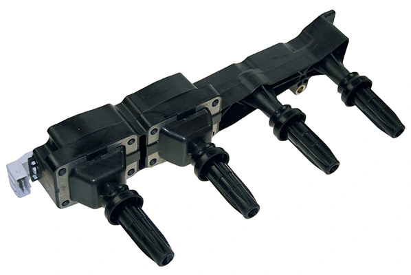 LIZARTE BOBEN005