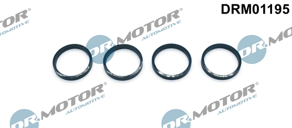 LIZARTE DRM01195