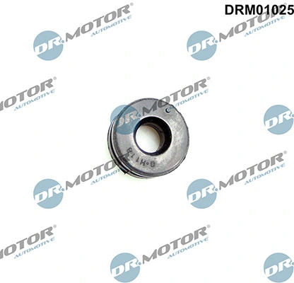 LIZARTE DRM01025