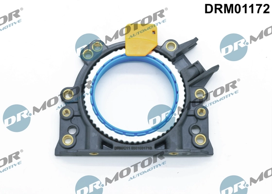 LIZARTE DRM01172