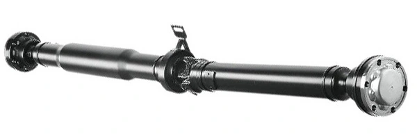 LIZARTE PS0047