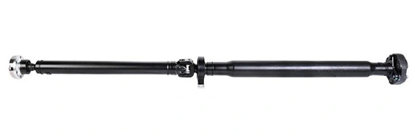 LIZARTE PS0056