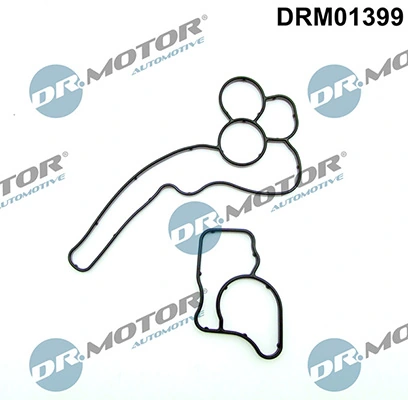 LIZARTE DRM01399
