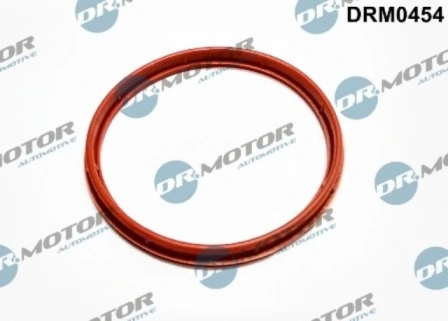LIZARTE DRM0454
