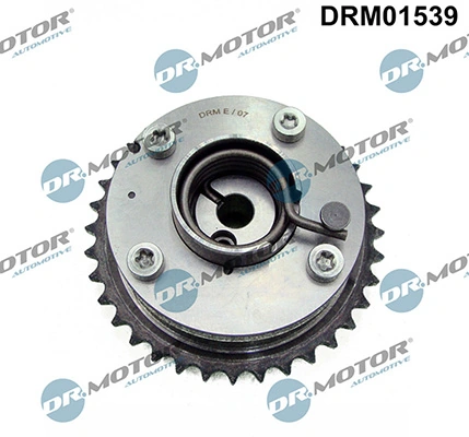 LIZARTE DRM01539