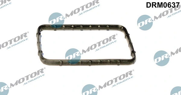 LIZARTE DRM0637