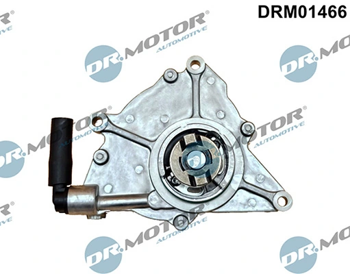 LIZARTE DRM01466