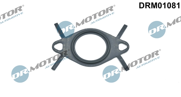 LIZARTE DRM01081