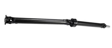 LIZARTE PS0035