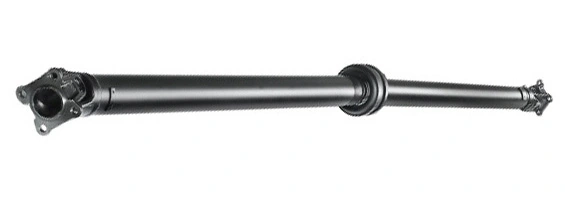 LIZARTE PS0015