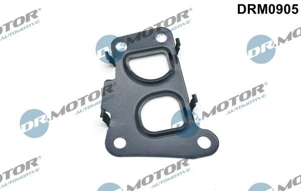 LIZARTE DRM0905