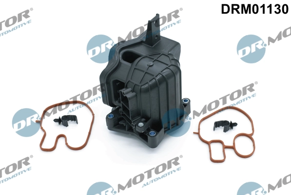 LIZARTE DRM01130