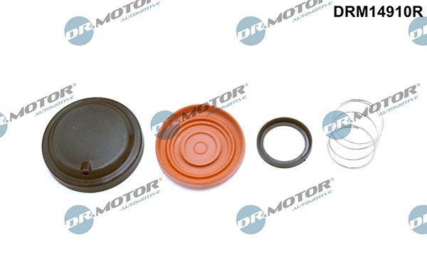 LIZARTE DRM14910R