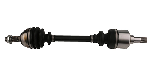 LIZARTE DS0563