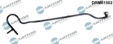 LIZARTE DRM61502