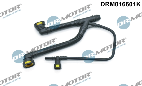 LIZARTE DRM16601K