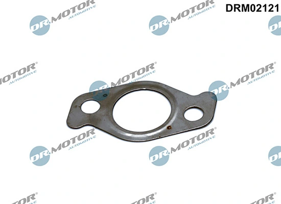 LIZARTE DRM02121