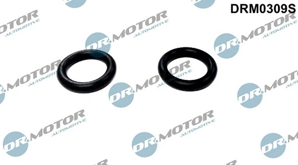LIZARTE DRM0309S