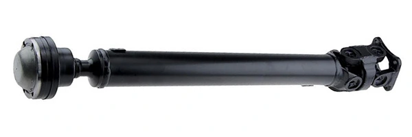 LIZARTE PS0024