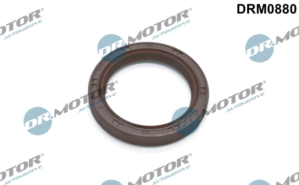 LIZARTE DRM0880