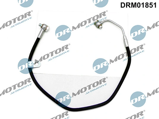 LIZARTE DRM01851