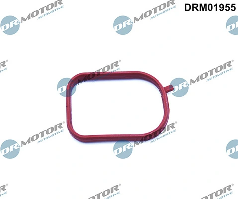 LIZARTE DRM01955
