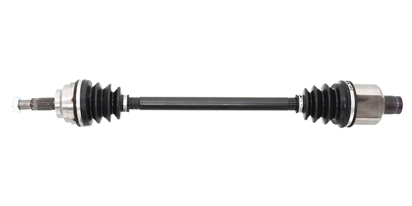 LIZARTE DS0738