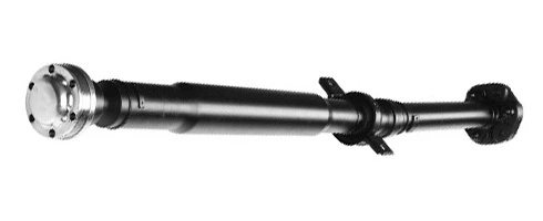 LIZARTE PS0050