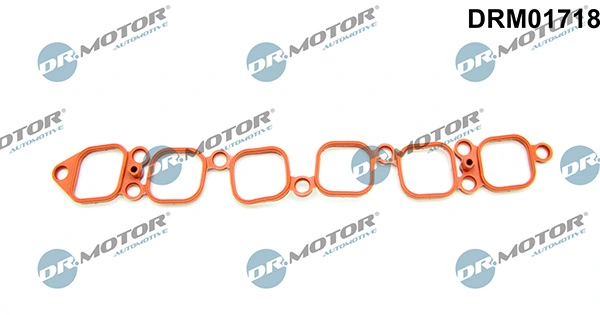 LIZARTE DRM01718