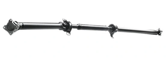 LIZARTE PS0027
