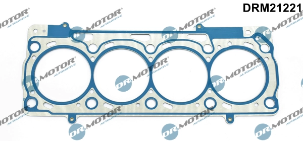 LIZARTE DRM21221
