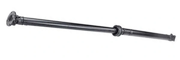 LIZARTE PS0022