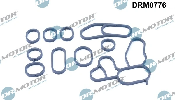 LIZARTE DRM0776