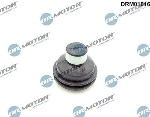 LIZARTE DRM01016