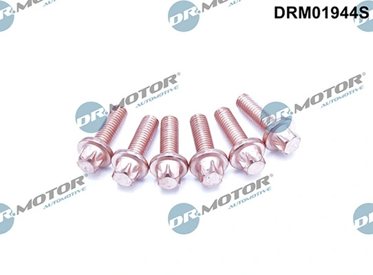 LIZARTE DRM01944S