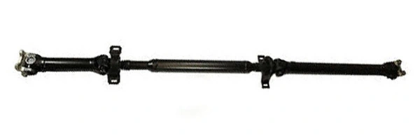LIZARTE PS0068
