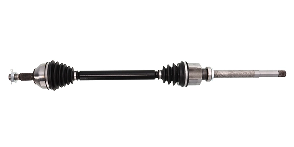 LIZARTE DS1162