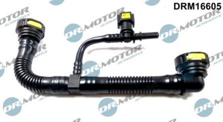 LIZARTE DRM16605