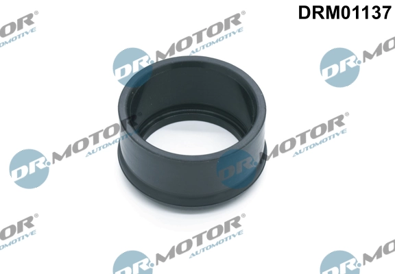 LIZARTE DRM01137