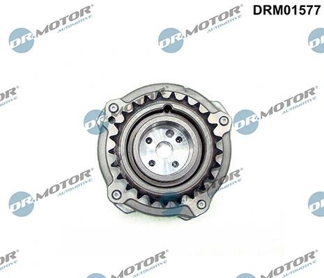 LIZARTE DRM01577