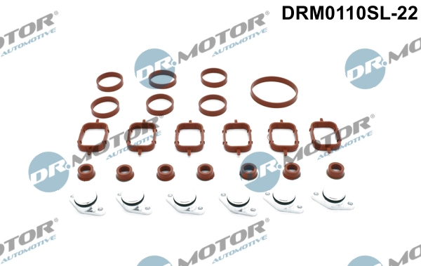 LIZARTE DRM0110SL-22