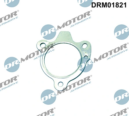 LIZARTE DRM01821