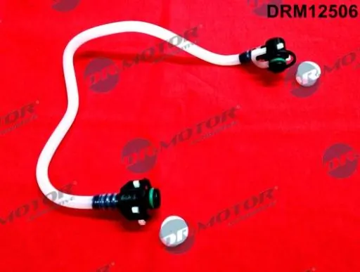 LIZARTE DRM12506