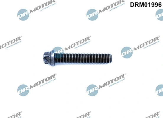 LIZARTE DRM01996