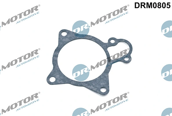LIZARTE DRM0805