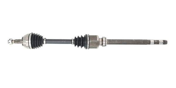 LIZARTE DS1725