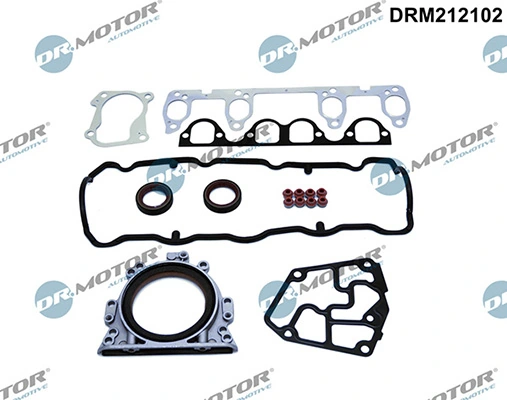LIZARTE DRM212102